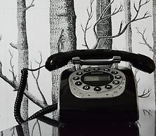 The Waterfront Wynyard