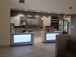 Holiday Inn Express Tampa N I-75 - University Area by IHG