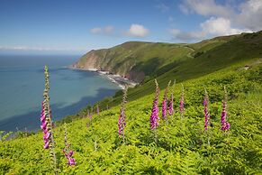 Exmoor White Horse Inn