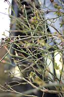 Exmoor White Horse Inn