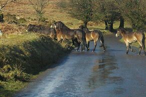 West Down Farm - B&B