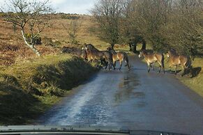 West Down Farm - B&B