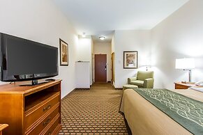 Comfort Inn & Suites Norman near University
