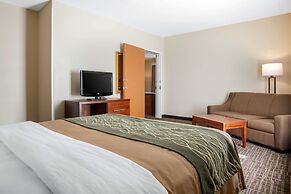 Comfort Inn & Suites Norman near University