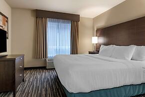 Best Western Plus Dartmouth Hotel & Suites