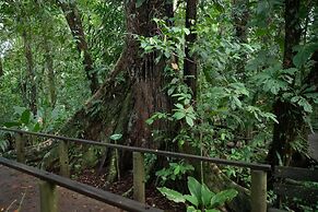 Pachira Lodge