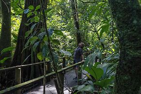 Pachira Lodge