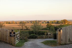 The Durham Ox
