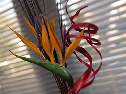 Aberdeen Serviced Apartments - The Lodge