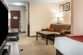 Comfort Suites South Bend near Casino