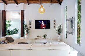 Le Cameleon Puerto Viejo