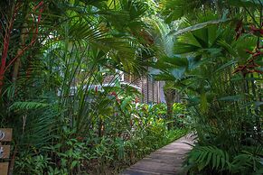 Le Cameleon Puerto Viejo