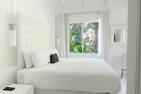 Le Cameleon Puerto Viejo