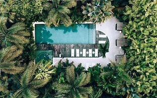 Le Cameleon Puerto Viejo