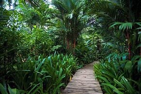 Le Cameleon Puerto Viejo