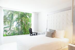 Le Cameleon Puerto Viejo