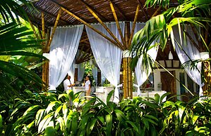 Le Cameleon Puerto Viejo