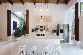 Le Cameleon Puerto Viejo