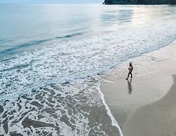 Le Cameleon Puerto Viejo