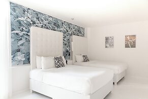 Le Cameleon Puerto Viejo