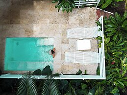 Le Cameleon Puerto Viejo