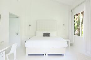 Le Cameleon Puerto Viejo