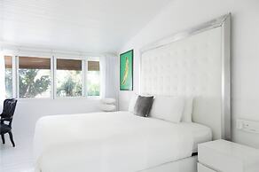 Le Cameleon Puerto Viejo