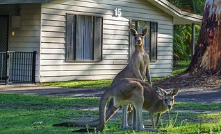 Noosa North Shore Retreat