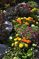 Colonial Lodge Motel