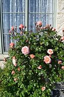 Colonial Lodge Motel