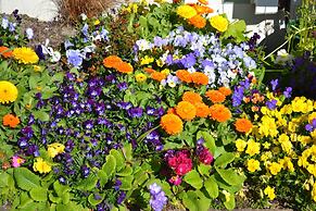 Colonial Lodge Motel