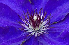 Hotel A Casa di Maria Cicilia