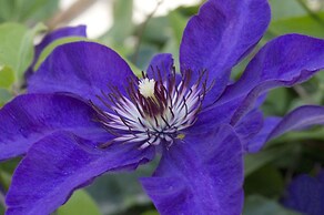 Hotel A Casa di Maria Cicilia