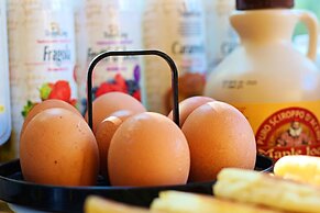 Il Giardino di Albaro