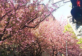 Amstel House Hostel Berlin