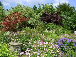 The Forest Country House B&B