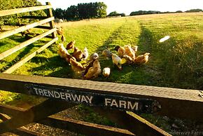 Trenderway Farm