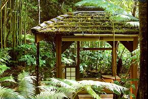 Volcano Rainforest Retreat