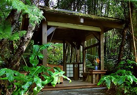 Volcano Rainforest Retreat