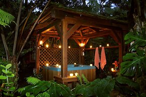 Volcano Rainforest Retreat
