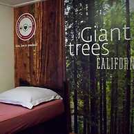 Amsterdam Hostel Sarphati