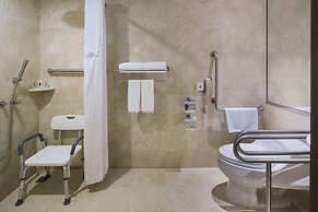 Holiday Inn Nanjing Aqua City by IHG