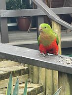 Oasis Inn Ulladulla - Guest 18 Years and Older