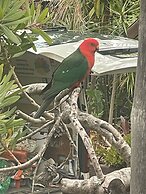 Oasis Inn Ulladulla - Guest 18 Years and Older