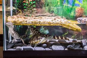 Comfort Suites Palm Bay - Melbourne