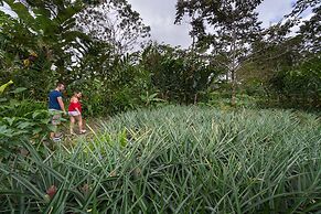 Casa Luna Hotel & Spa