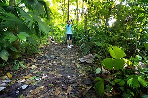 Casa Luna Hotel & Spa