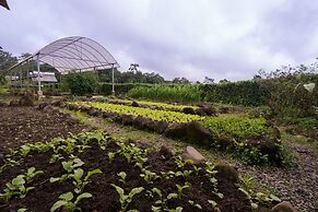 Casa Luna Hotel & Spa