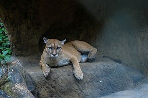 The Springs Resort and Spa at Arenal