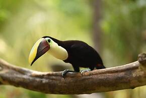 The Springs Resort and Spa at Arenal